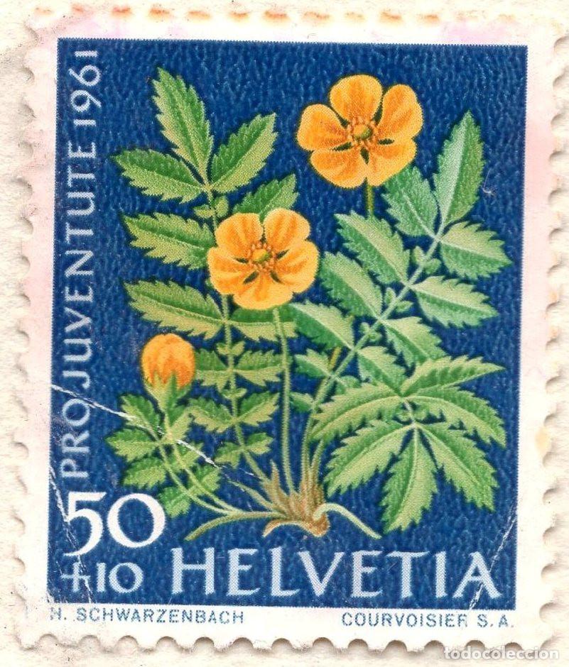 Sellos: SUIZA 1961 STAMP MICHEL CH 746