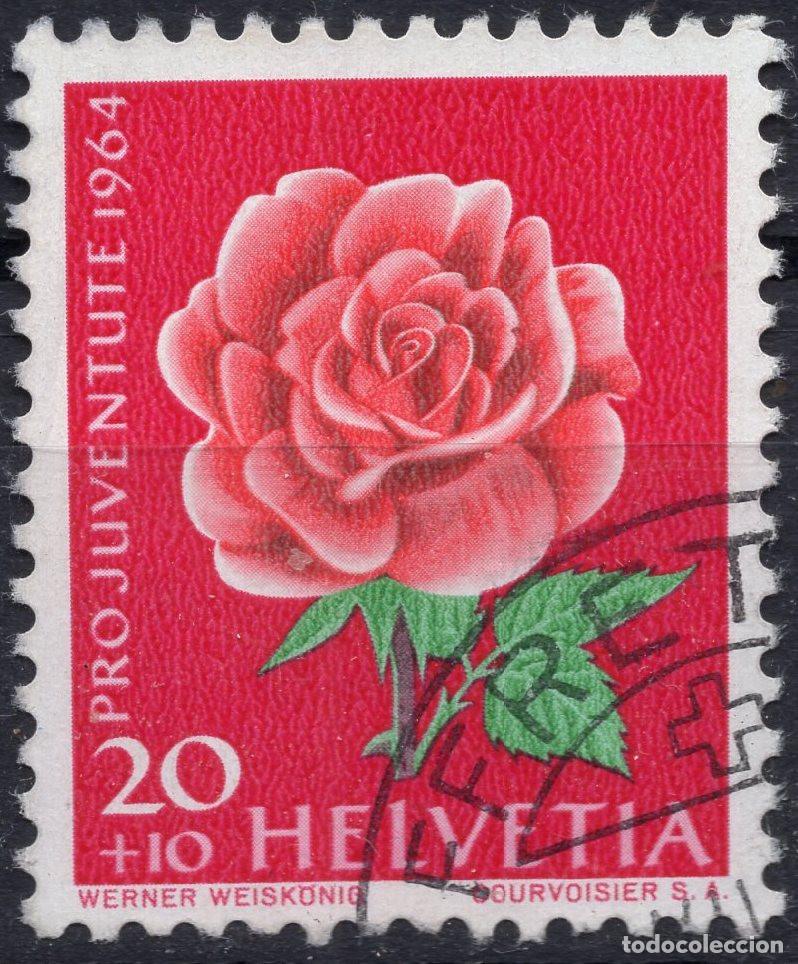 Sellos: SUIZA 1964 STAMP MICHEL CH 805
