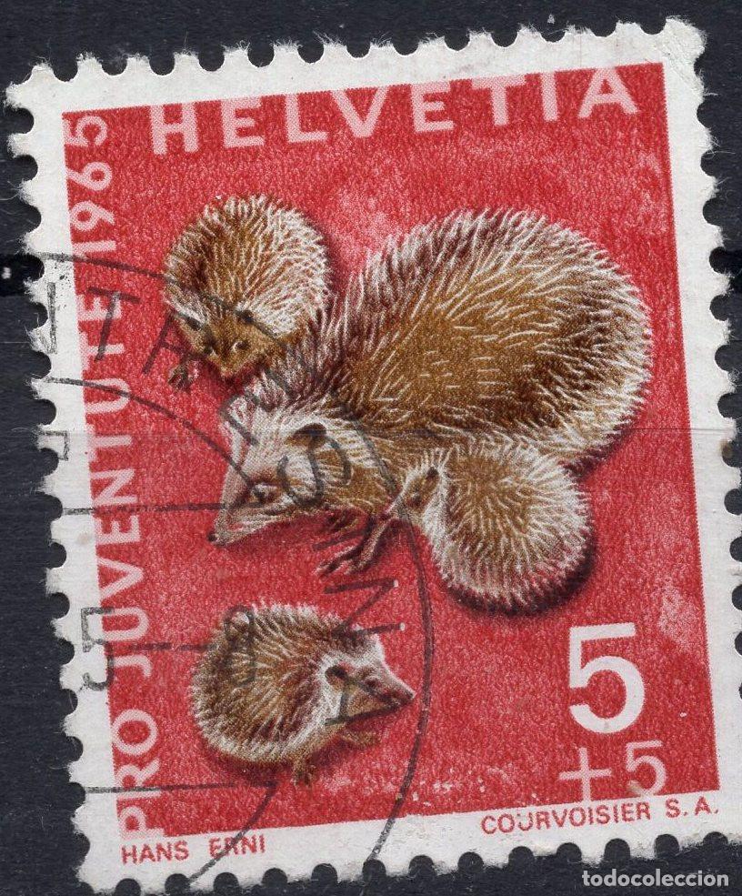 Sellos: SUIZA 1965 STAMP MICHEL CH 826
