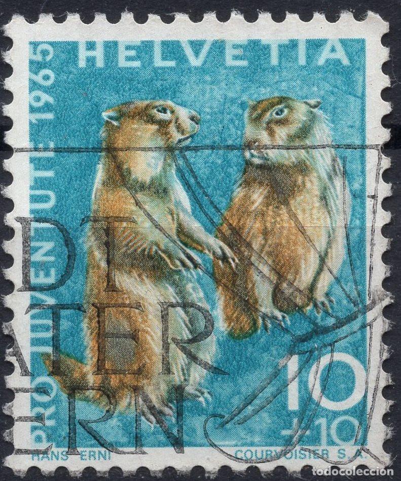Sellos: SUIZA 1965 STAMP MICHEL CH 827