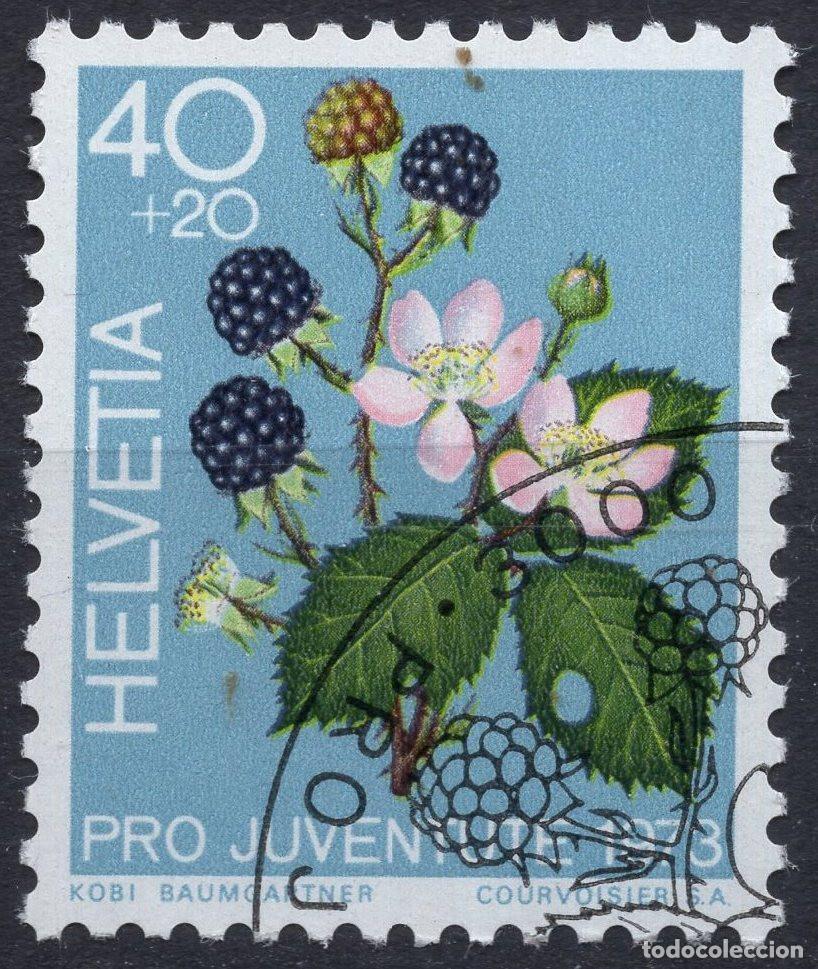 Sellos: SUIZA 1973 STAMP MICHEL CH 1015