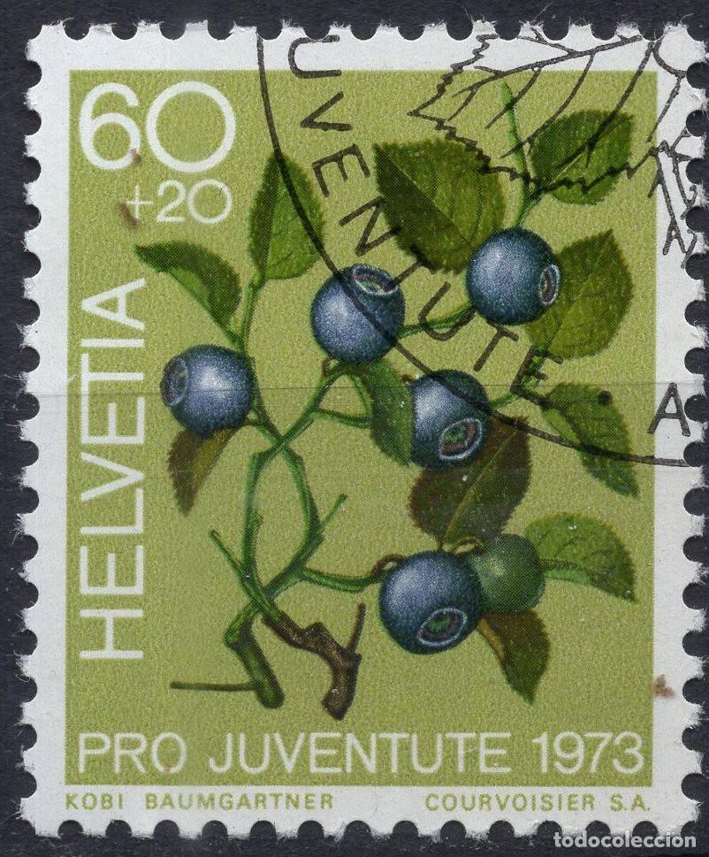 Sellos: SUIZA 1973 STAMP MICHEL CH 1016
