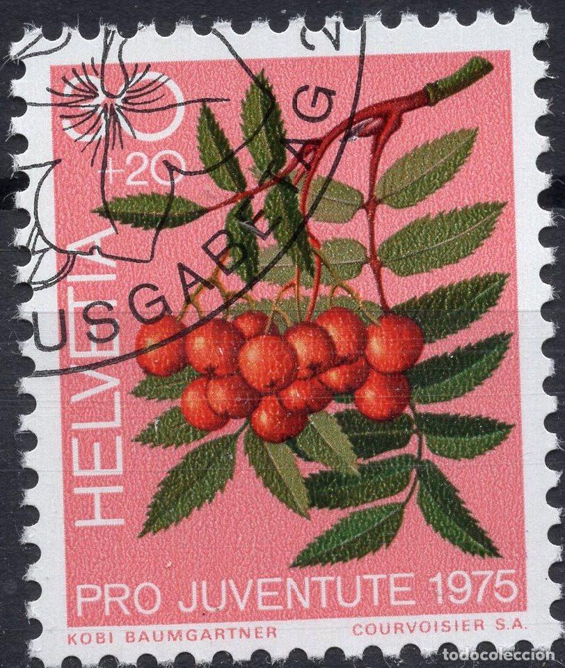 Sellos: SUIZA 1975 STAMP MICHEL CH 1064