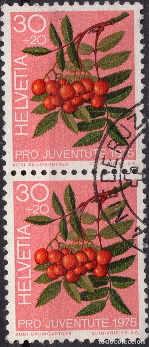 Sellos: SUIZA 1975 STAMP MICHEL CH 1064