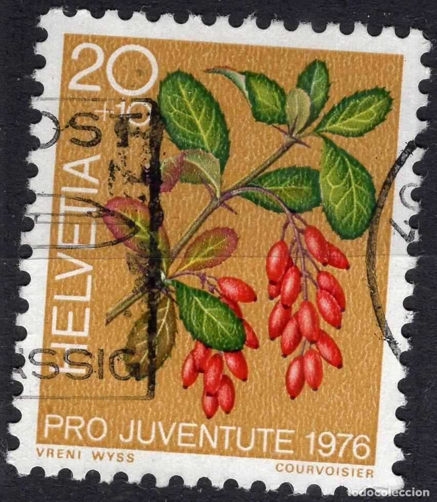 Sellos: SUIZA 1976 STAMP MICHEL CH 1083