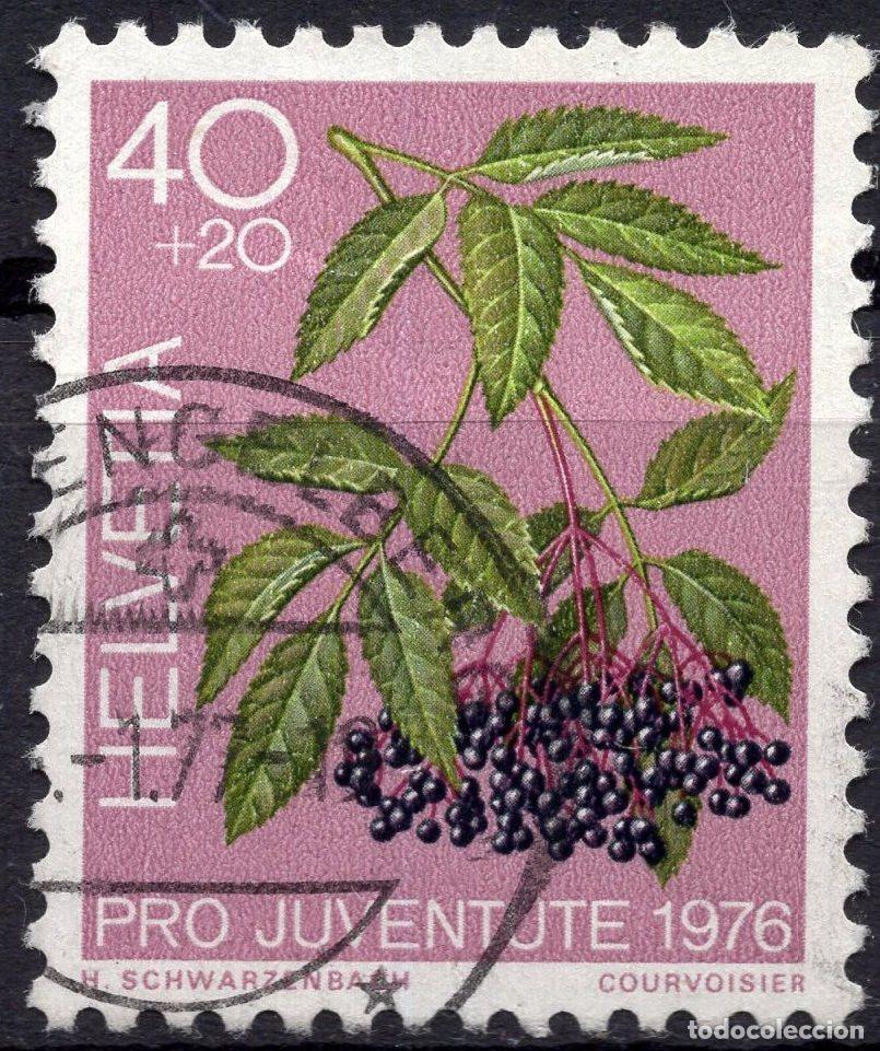 Sellos: SUIZA 1976 STAMP MICHEL CH 1085