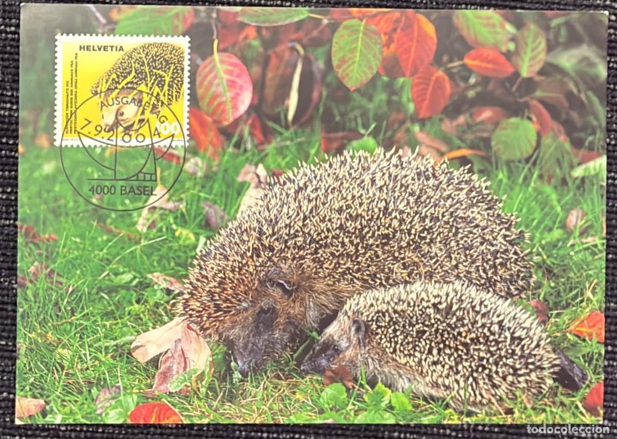 Sellos: TS.)2004, SWITZERLAND, MAXIMUM CARD, FIRST-DAY COVER, PRE-PRINTED WITH AN IMAGE SHOWING A MOTHER AND
