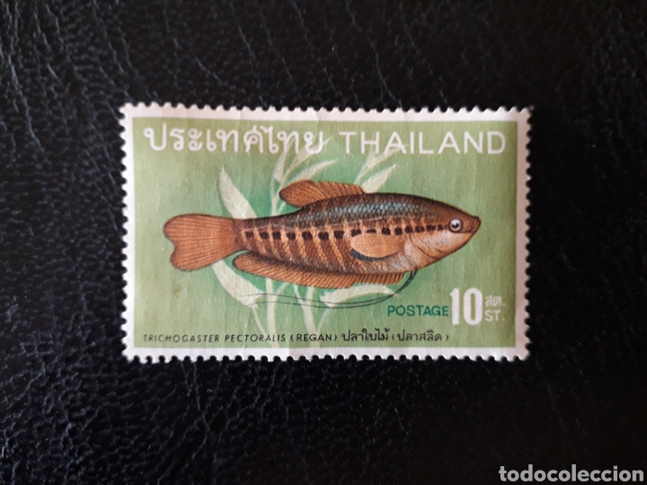 TAILANDIA YVERT 490 SELLO SUELTO USADO 1968 FAUNA. PECES PEDIDO MÍNIMO 3€ (Sellos - Extranjero - Asia - Tailandia)