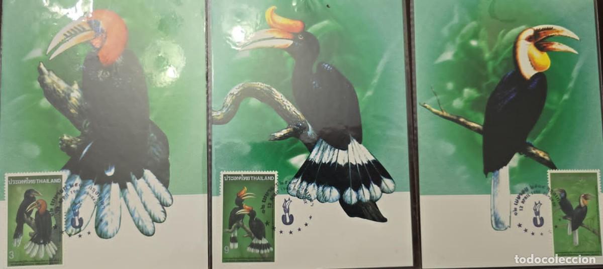 Sellos: O) 1996 THAILAND, BIRDS, EXHIBITION CHINA 1996, ASIAN INTERNATIONAL PHILATELIC, NEAL'S HORNHOLE, PAP