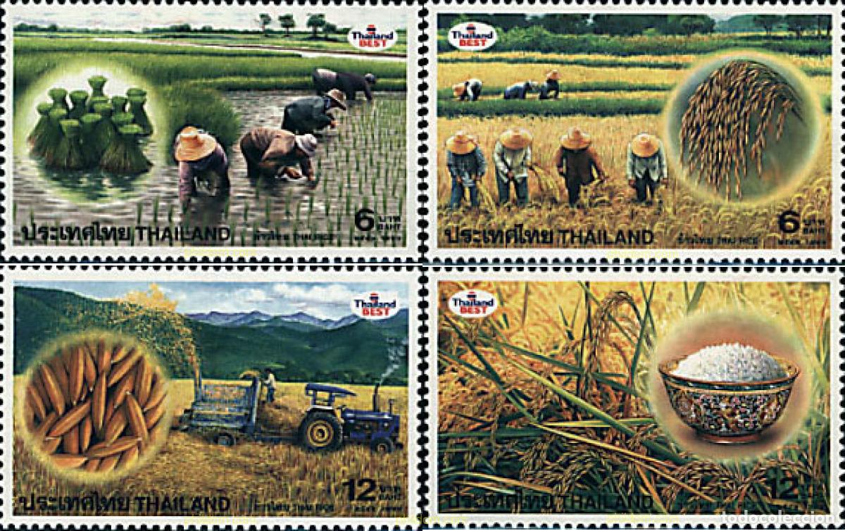 Sellos: 90940 MNH TAILANDIA 1999 LA CULTURA DEL ARROZ