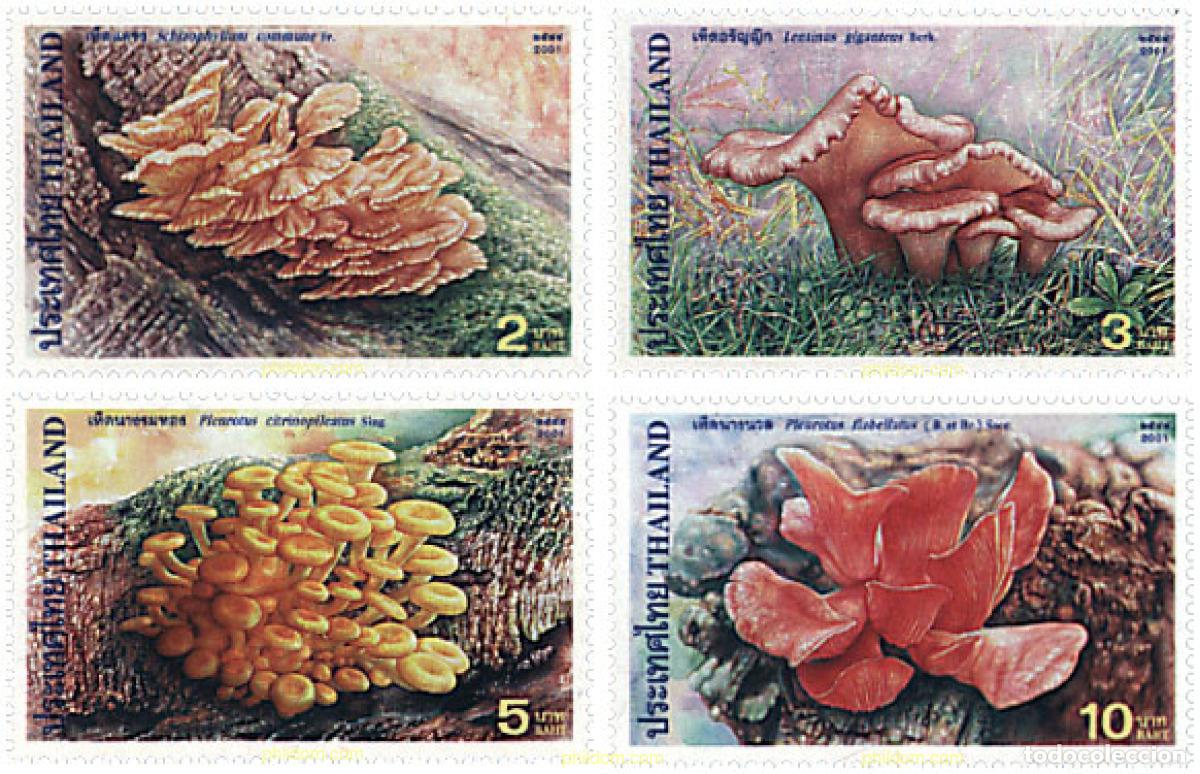 Sellos: 99944 MNH TAILANDIA 2001 SETAS