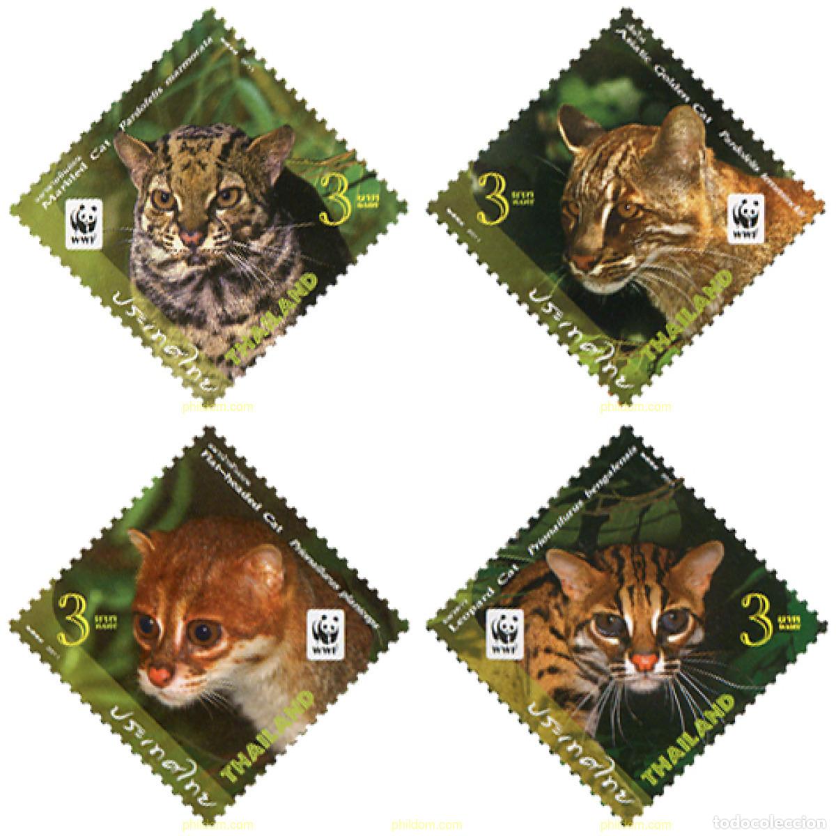 Sellos: 265668 MNH TAILANDIA 2011 FELINOS