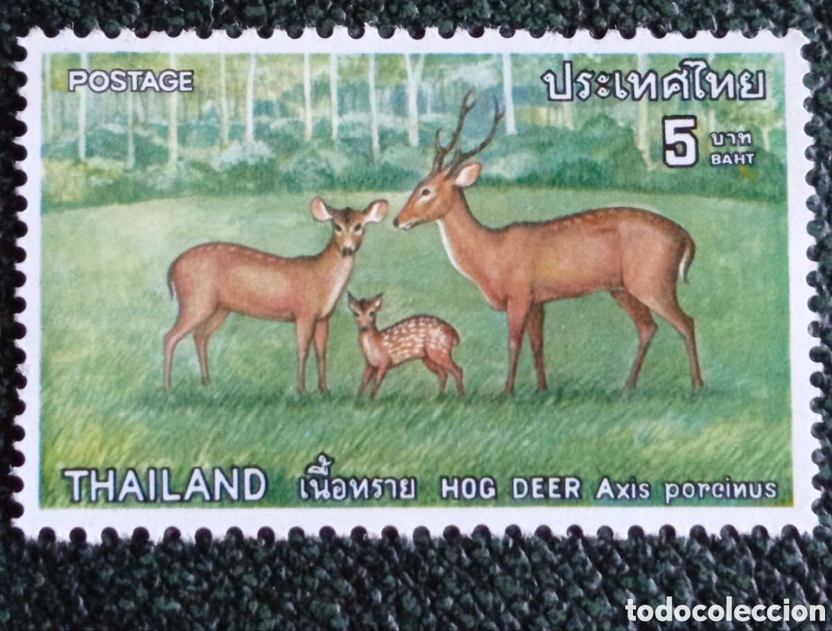 Sellos: Sello Tailandia 1976 Ciervo Porcino 5b MNH (Michel 830)