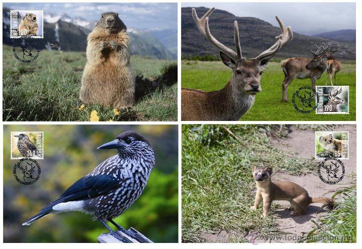 Sellos: MAXICARDS ANIMALES SUIZA SET - Foto 1