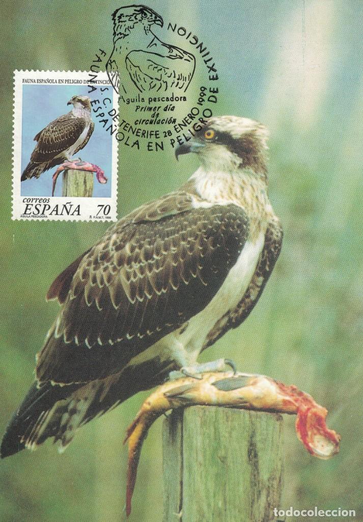 Sellos: Espa&ntilde;a Edifil n&ordm; 3615 a&ntilde;o 1999 - Foto 1