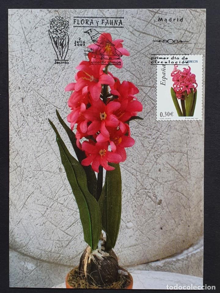 Sellos: Tarjeta M&aacute;xima - Flora: Jacinto MADRID 2007 - Foto 1