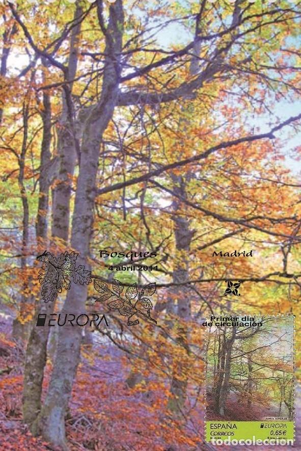 Sellos: Spain 2011 - Europa bosques carte maximum - Foto 1