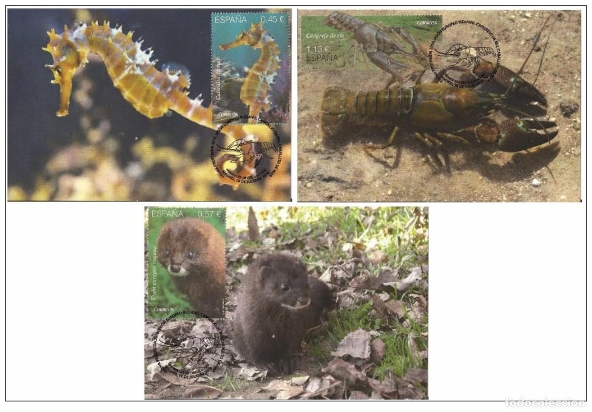 Sellos: Spain 2016 - Endangered species carte maximum set - Foto 1