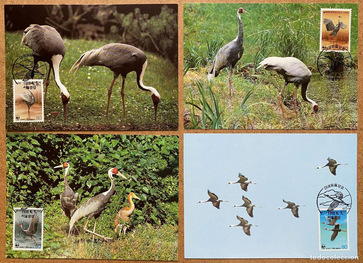 Sellos: COREA WWF. JUEGO DE 4 TARJETAS M&Aacute;XIMAS DE P&Aacute;JAROS - Foto 1