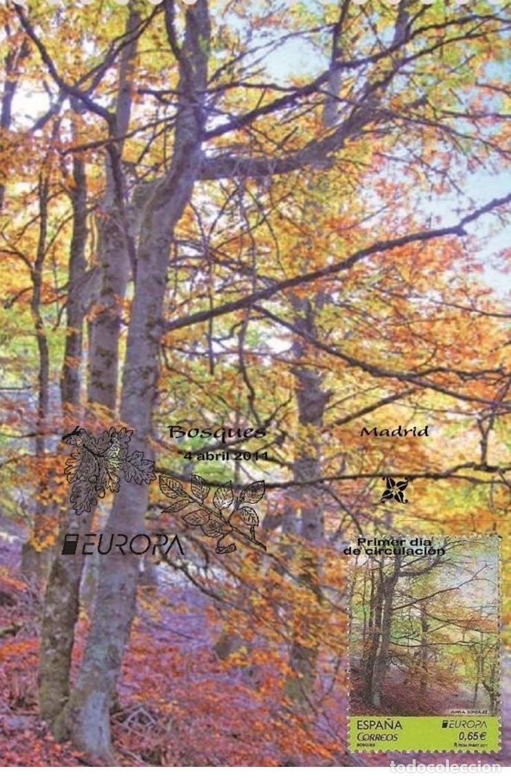 Sellos: Spain 2011 - Europa bosques carte maximum - Foto 1