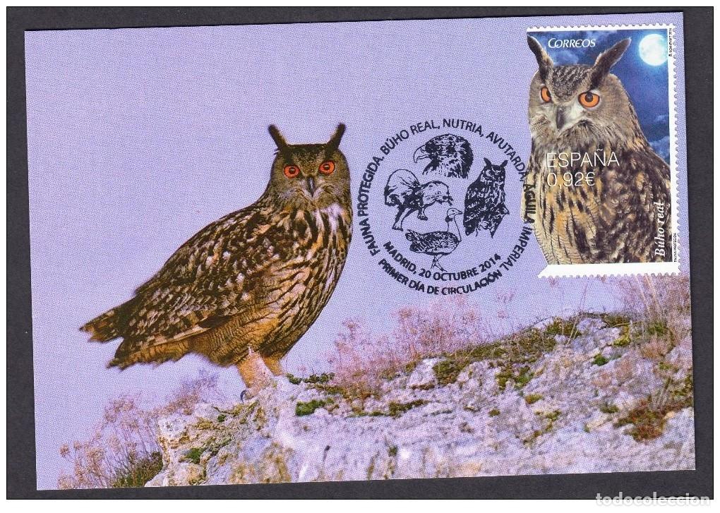 Sellos: Espa&ntilde;a Spain 2014 - Buho real carte maximum - Foto 1