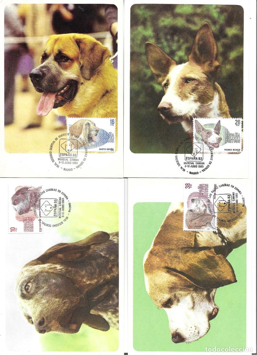 Sellos: Tarjeta M&aacute;xima Espa&ntilde;a 83. Perros de Raza Espa&ntilde;ola. Juego de 4 tarjetas emitidas el 8 Junio 1983