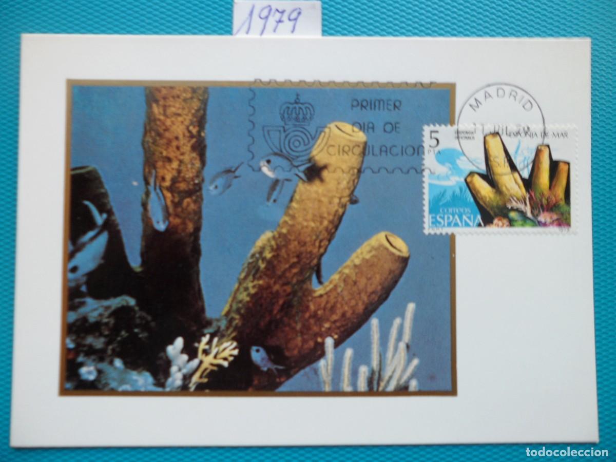 Sellos: 1979-ESPA&Ntilde;A-TARJETAS MAXIMAS-SERIE COMPLETA-VER FOTO-N&ordm;2531/5-FAUNA-INVERTEBRADOS