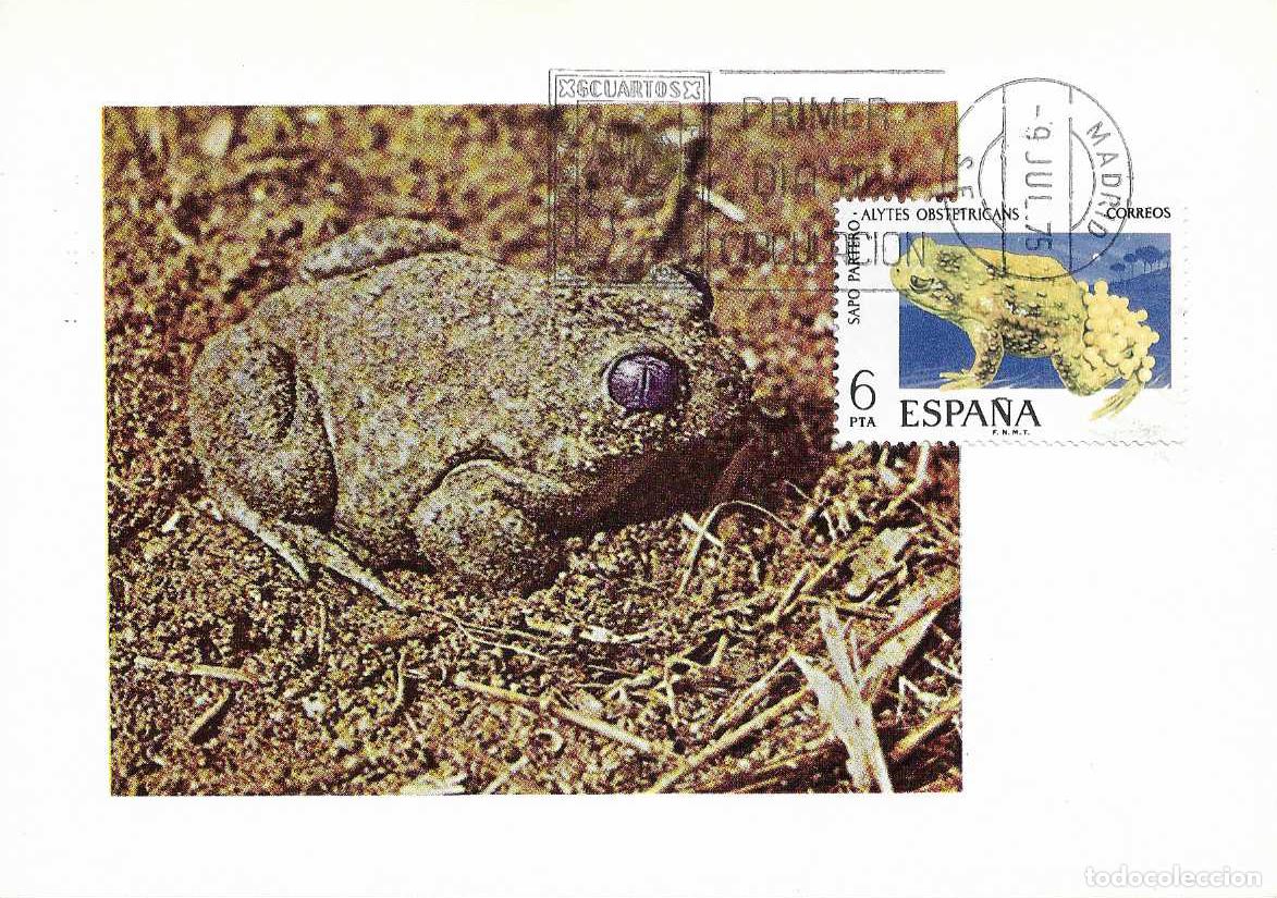 Sellos: SAPO PARTERO FAUNA HISPANICA 1975 (EDIFIL 2275) TARJETA MAXIMA PRIMER DIA MATASELLOS MADRID RARO MPM