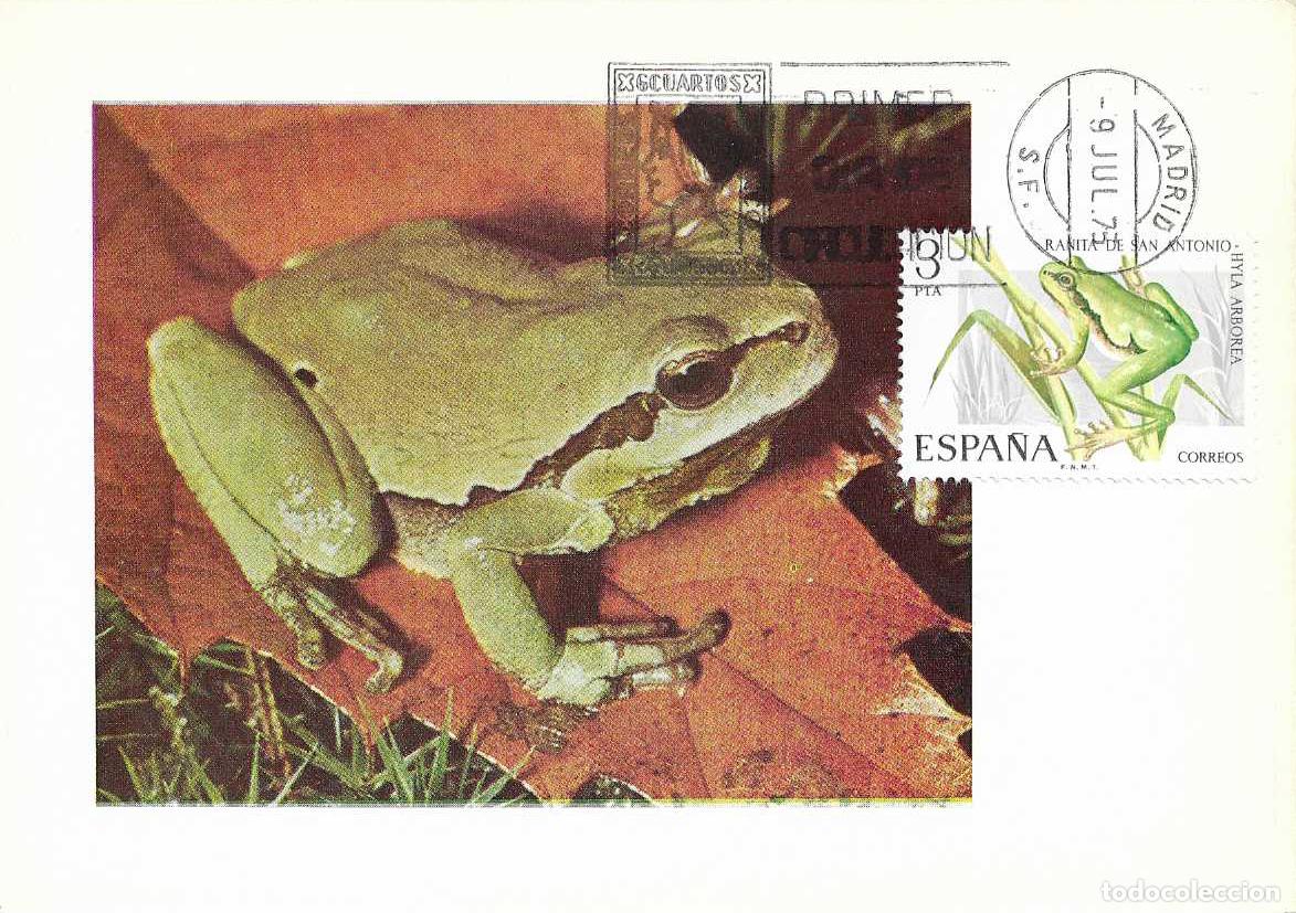 Sellos: RANITA DE SAN ANTONIO FAUNA HISPANICA 1975 (EDIFIL 2274) EN TM PRIMER DIA MATASELLOS MADRID RARO MPM
