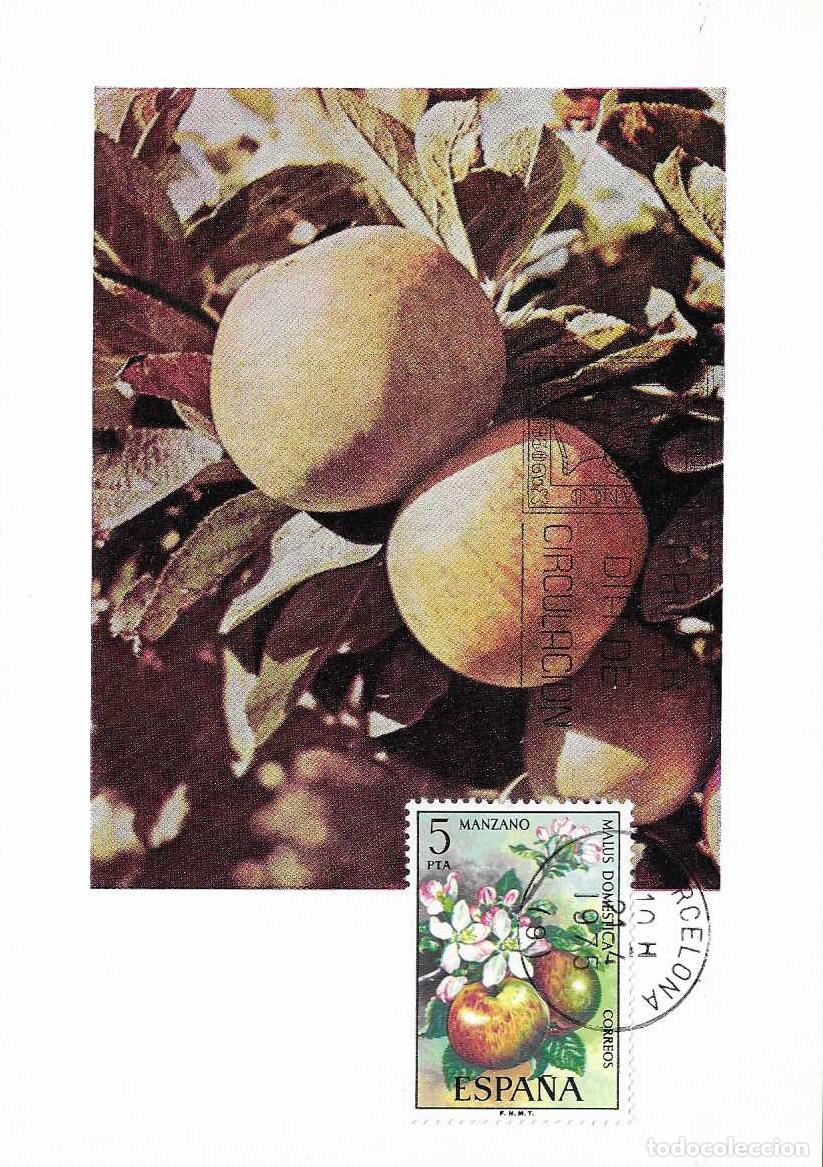 Sellos: MANZANO FLORA 1975 (EDIFIL 2258) EN TARJETA MAXIMA PRIMER DIA MATASELLOS BARCELONA BONITA Y RARO MPM