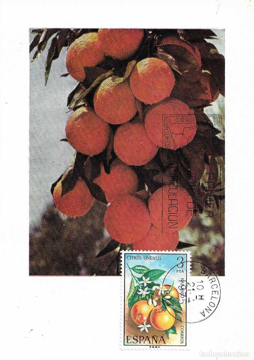 Sellos: NARANJA FLORA 1975 (EDIFIL 2255) EN TARJETA MAXIMA PRIMER DIA MATASELLOS BARCELONA BONITA Y RARO MPM