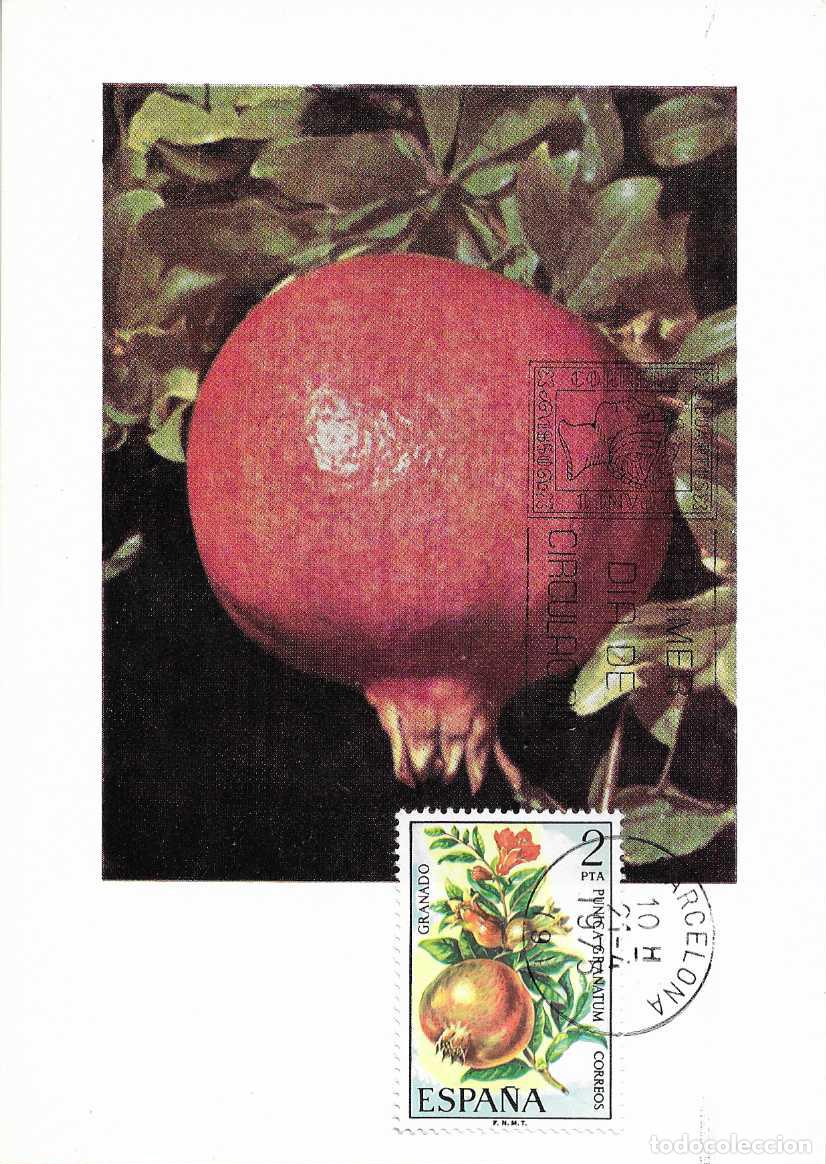 Sellos: GRANADO FLORA 1975 (EDIFIL 2255) EN TARJETA MAXIMA PRIMER DIA MATASELLOS BARCELONA BONITA Y RARO MPM