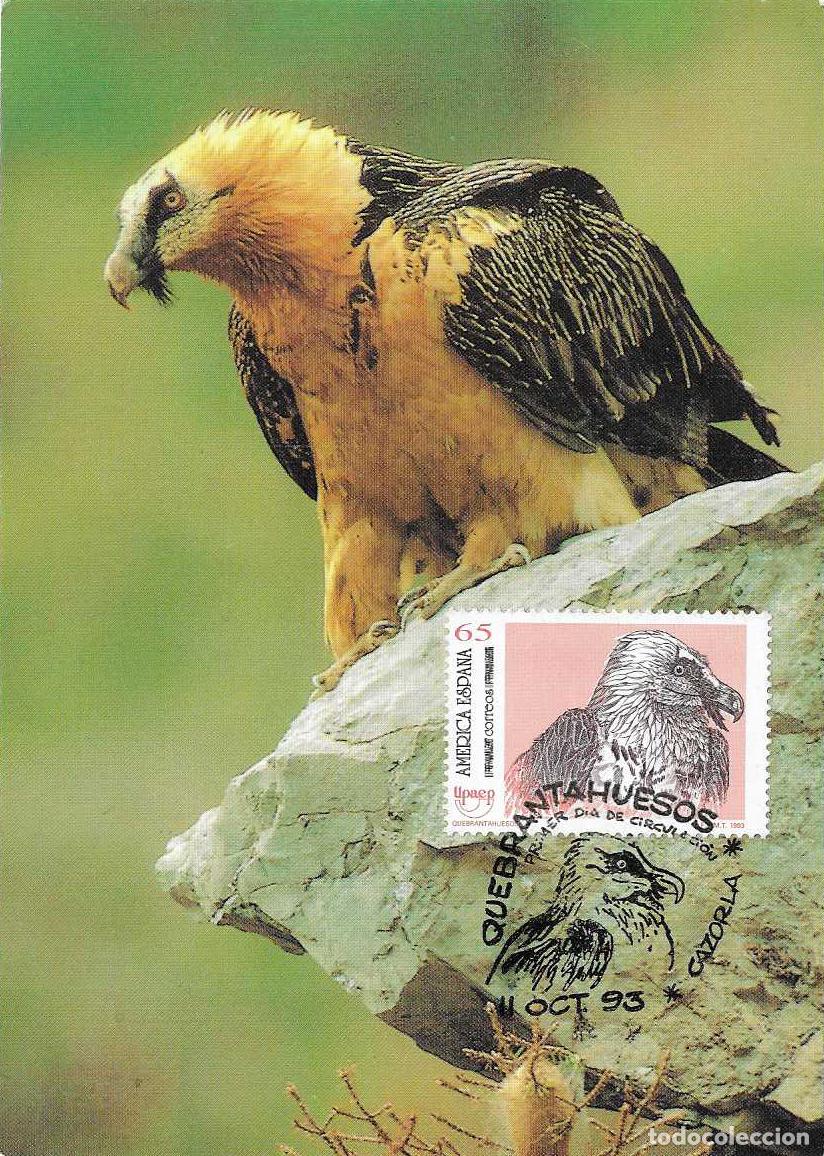 Sellos: QUEBRANTAHUESOS AVES EN PELIGRO EXTINCION AMERICA-UPAEP 1993 (EDIFIL 3271) TM PD MOD 1 CAZORLA (JAEN