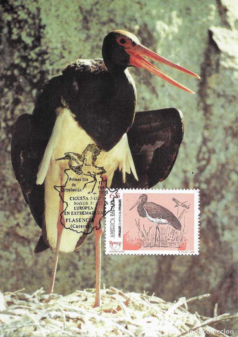 Sellos: CIG&Uuml;E&Ntilde;A NEGRA AVES EN PELIGRO DE EXTINCION AMERICA-UPAEP 1993 EDIFIL 3270 TM PD MATASELLOS PLASENCIA