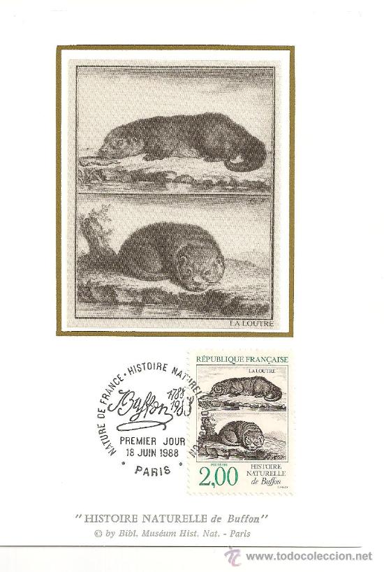 Sellos: FRANCIA. FAUNA. MAMIFEROS. NUTRIA. - Foto 1