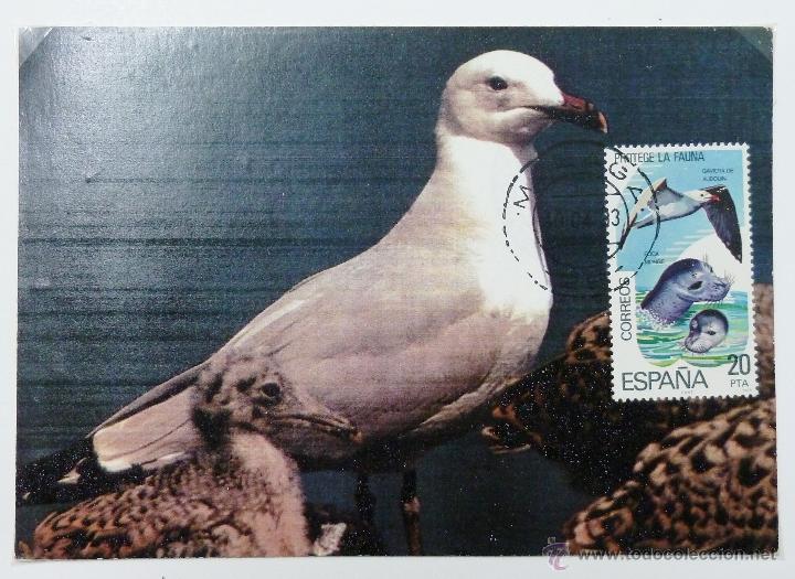 Sellos: TARJETA DE GAVIOTA CON MATASELLO DE MALAGA. - Foto 1