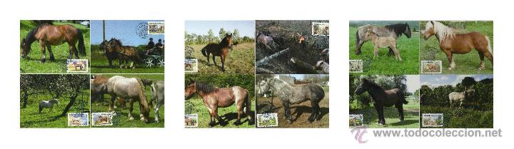 Sellos: MAXICARDS LOTE CABALLOS 2013 FRANCIA - Foto 1