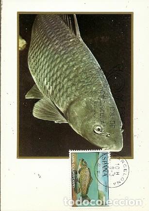 Sellos: TARJETA MAXIMA EDIFIL 2406 CARPA 1977 - Foto 1