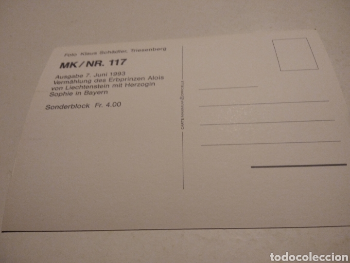 Sellos: Tarjeta Maxima LIECHTENSTEIN 1993 - Foto 2
