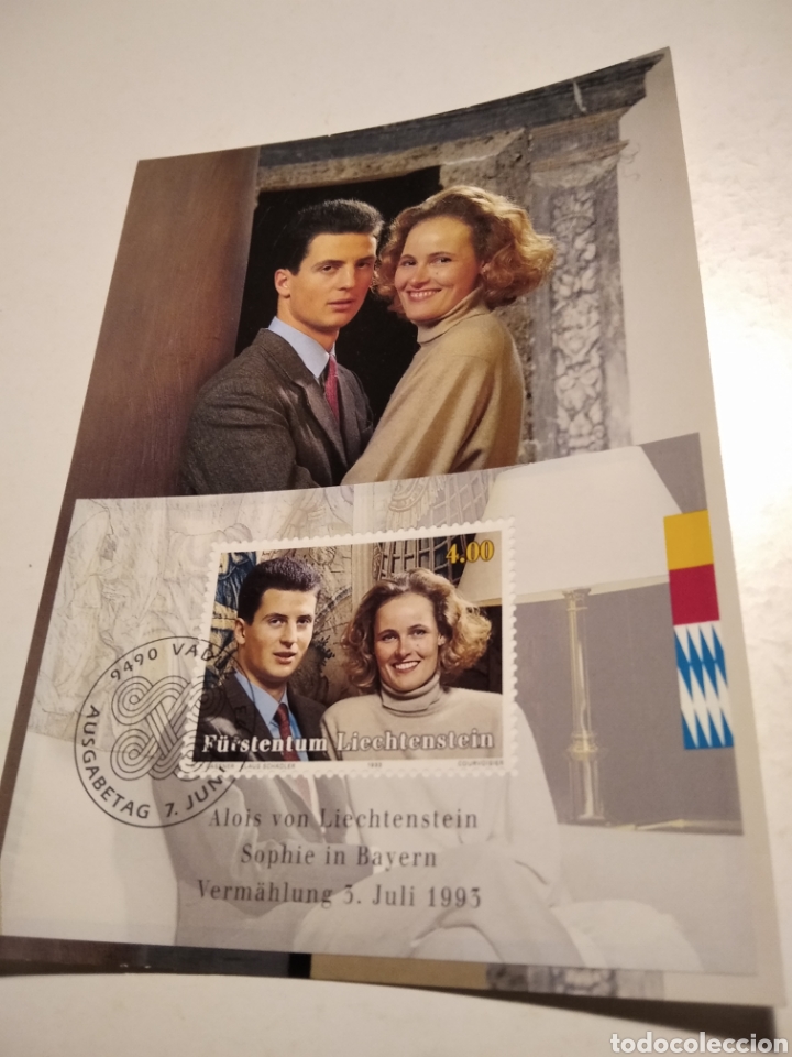 Sellos: Tarjeta Maxima LIECHTENSTEIN 1993 - Foto 1