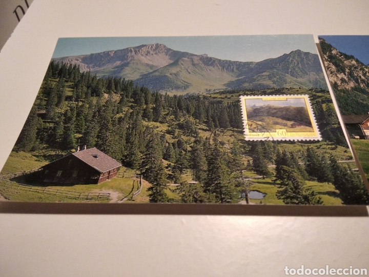 Sellos: Tarjeta Maxima LIECHTENSTEIN n113 - Foto 2