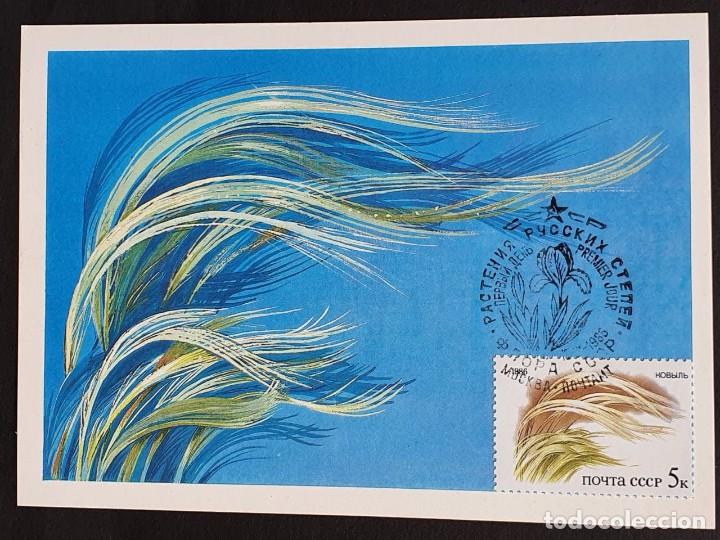 Sellos: Tarjeta M&aacute;xima URSS - Flora: C&eacute;sped, 1986 - Foto 1