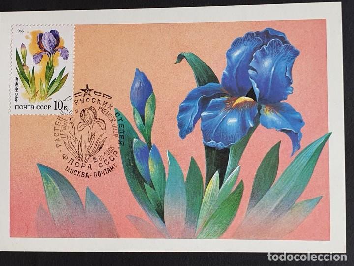 Sellos: Tarjeta M&aacute;xima URSS - Flora: Flor Iris, 1986 - Foto 1