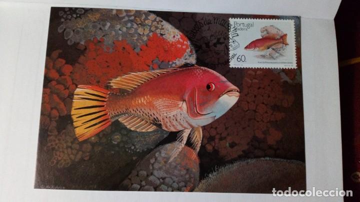 Sellos: Portugal, MADEIRA, MAXICARD, PEZ - Foto 1