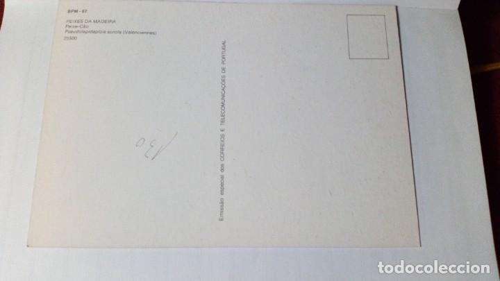 Sellos: Portugal, MADEIRA, MAXICARD, PEZ - Foto 2