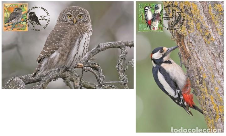 Sellos: Latvia Letonia 2016 - Birds carte maximum set - Foto 1