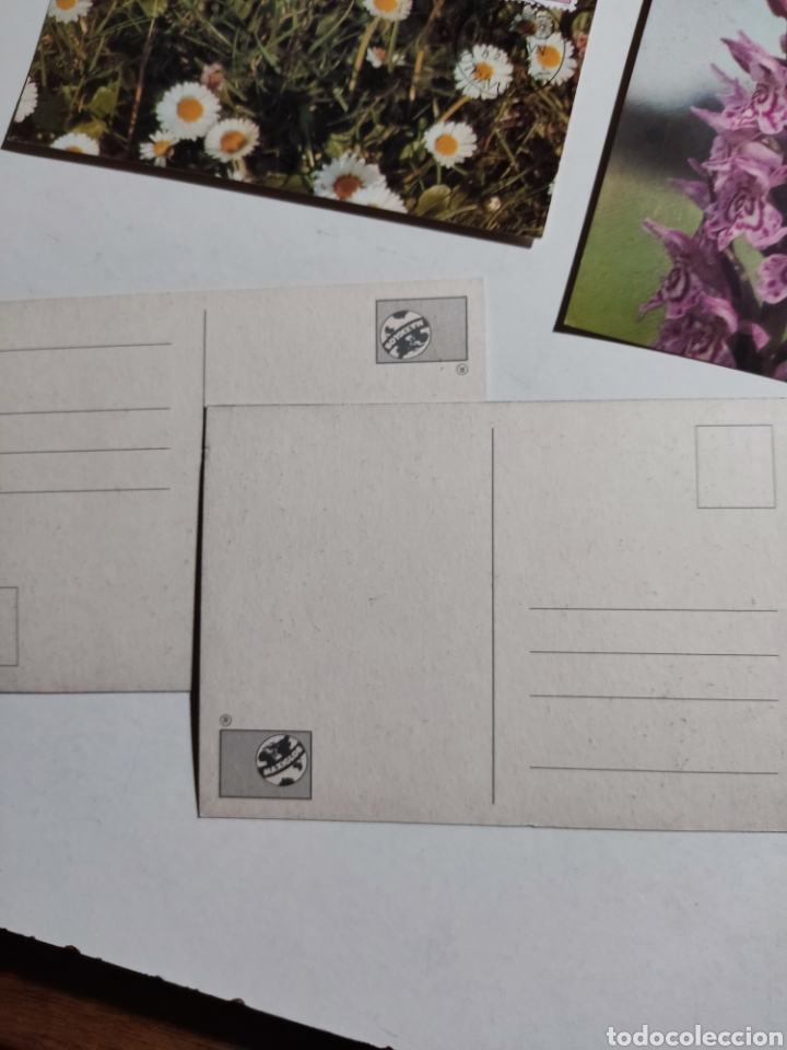 Sellos: Tarjetas m&aacute;xima Islas Feroe flores - Foto 2