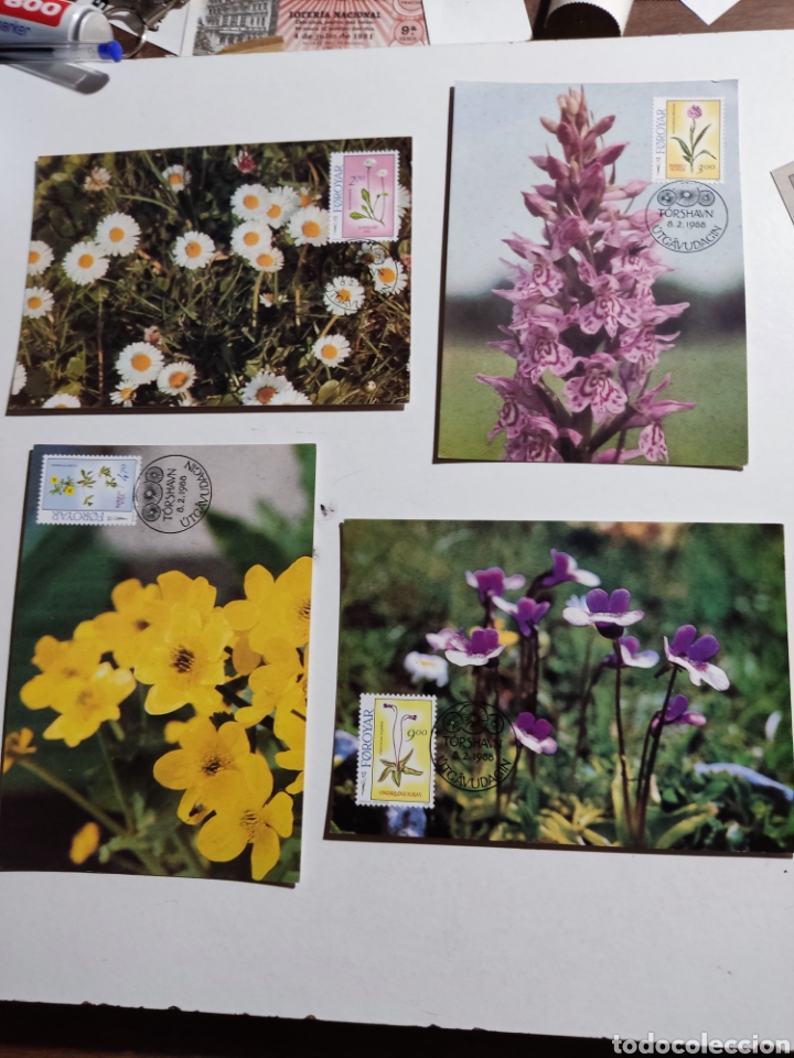 Sellos: Tarjetas m&aacute;xima Islas Feroe flores - Foto 1