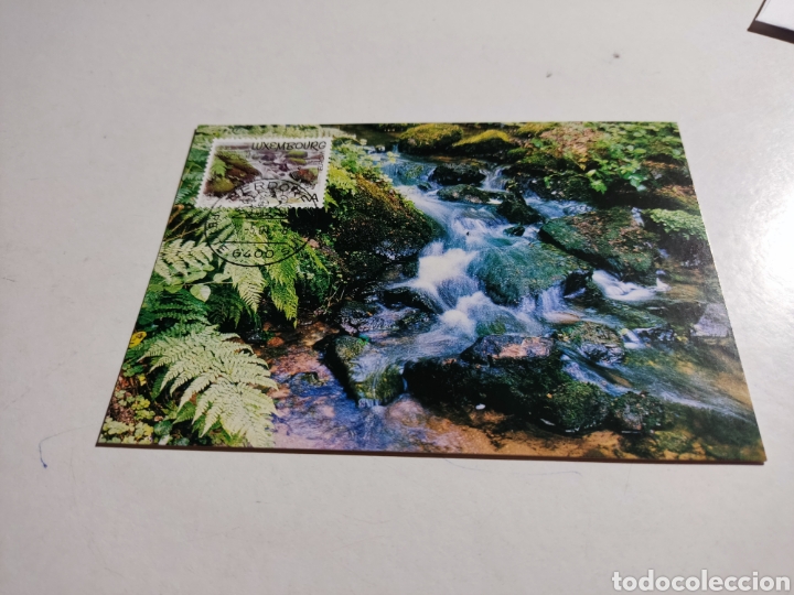 Sellos: Tarjeta m&aacute;xima Luxemburgo - Foto 1