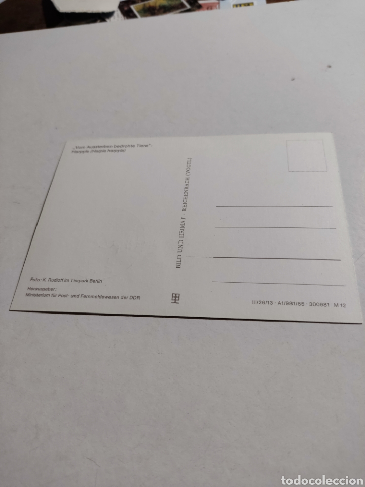 Sellos: Tarjeta m&aacute;xima DDR animales - Foto 2